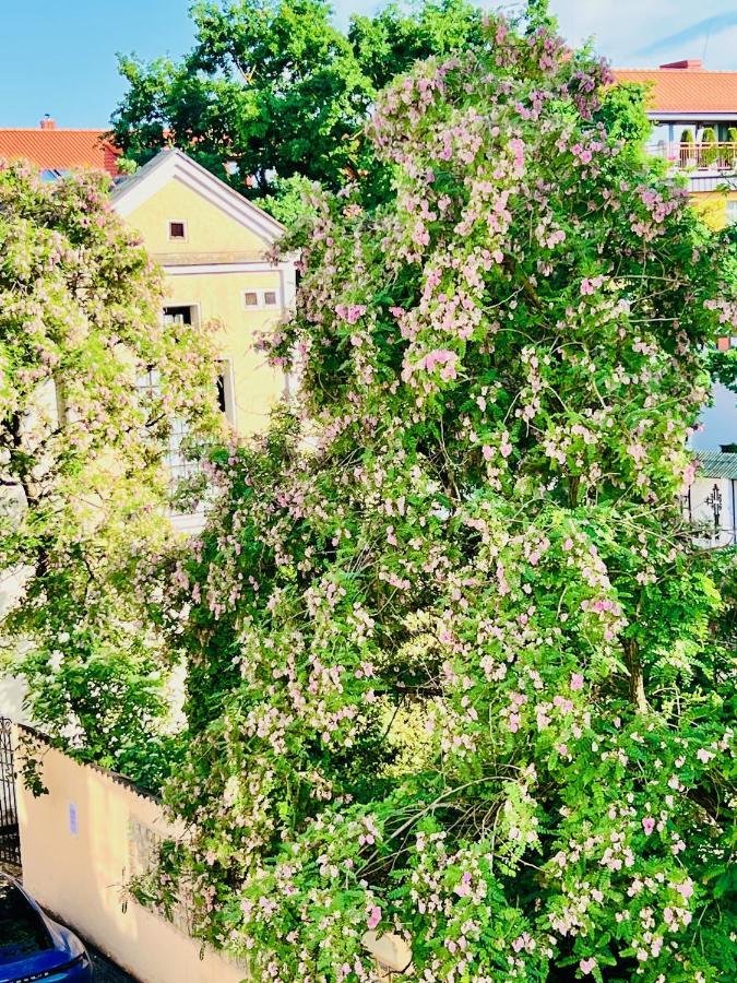 Super Apartment Old Town Klaipeda Ngoại thất bức ảnh